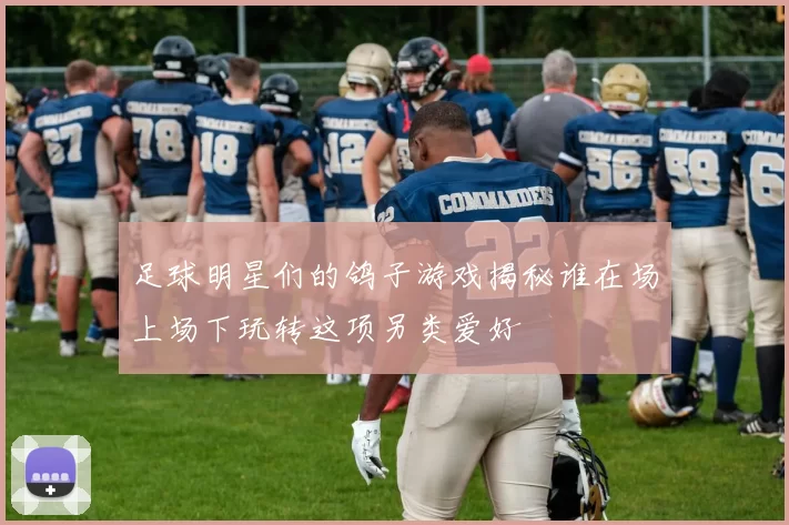 足球明星们的鸽子游戏揭秘谁在场上场下玩转这项另类爱好