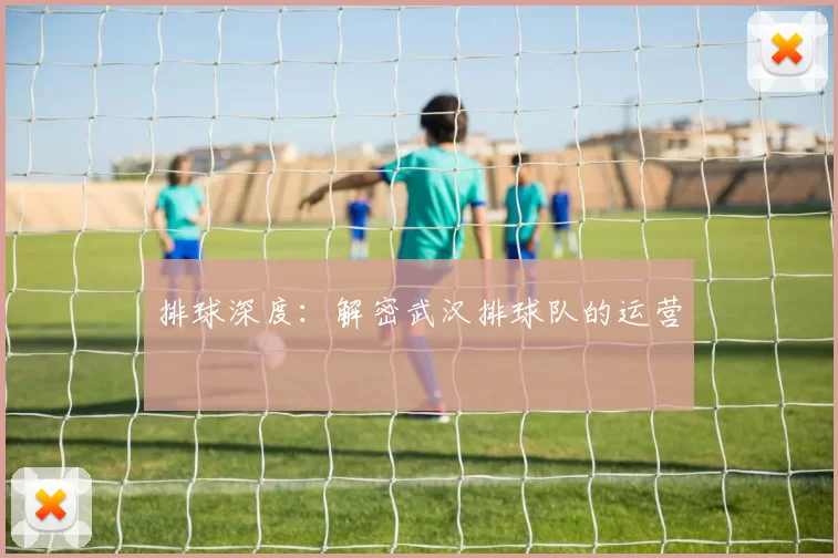 排球深度：解密武汉排球队的运营