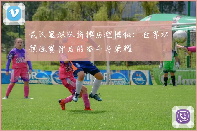 武汉篮球队拼搏历程揭秘：世界杯预选赛背后的奋斗与荣耀