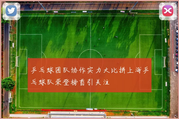 乒乓球团队协作实力大比拼上海乒乓球队荣登榜首引关注