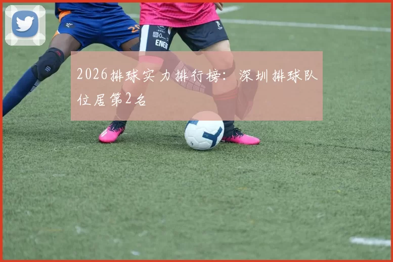 2026排球实力排行榜：深圳排球队位居第2名
