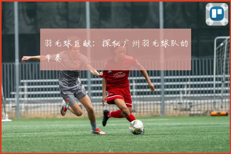 羽毛球巨献：探秘广州羽毛球队的节奏