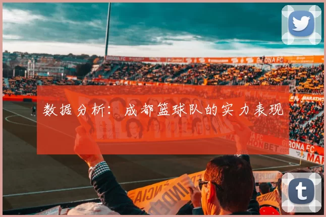 数据分析：成都篮球队的实力表现